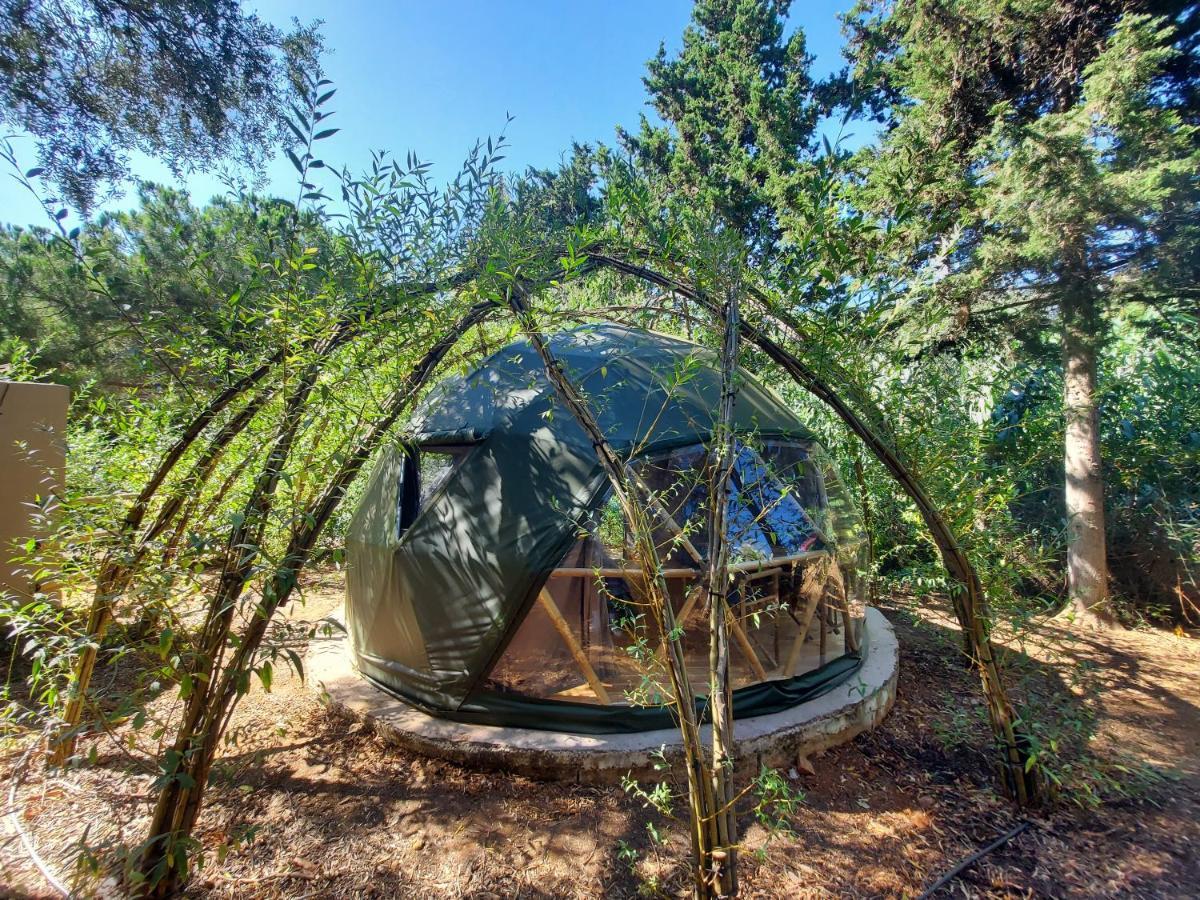 Salema Eco Camp - Sustainable Camping & Glamping Eksteriør bilde